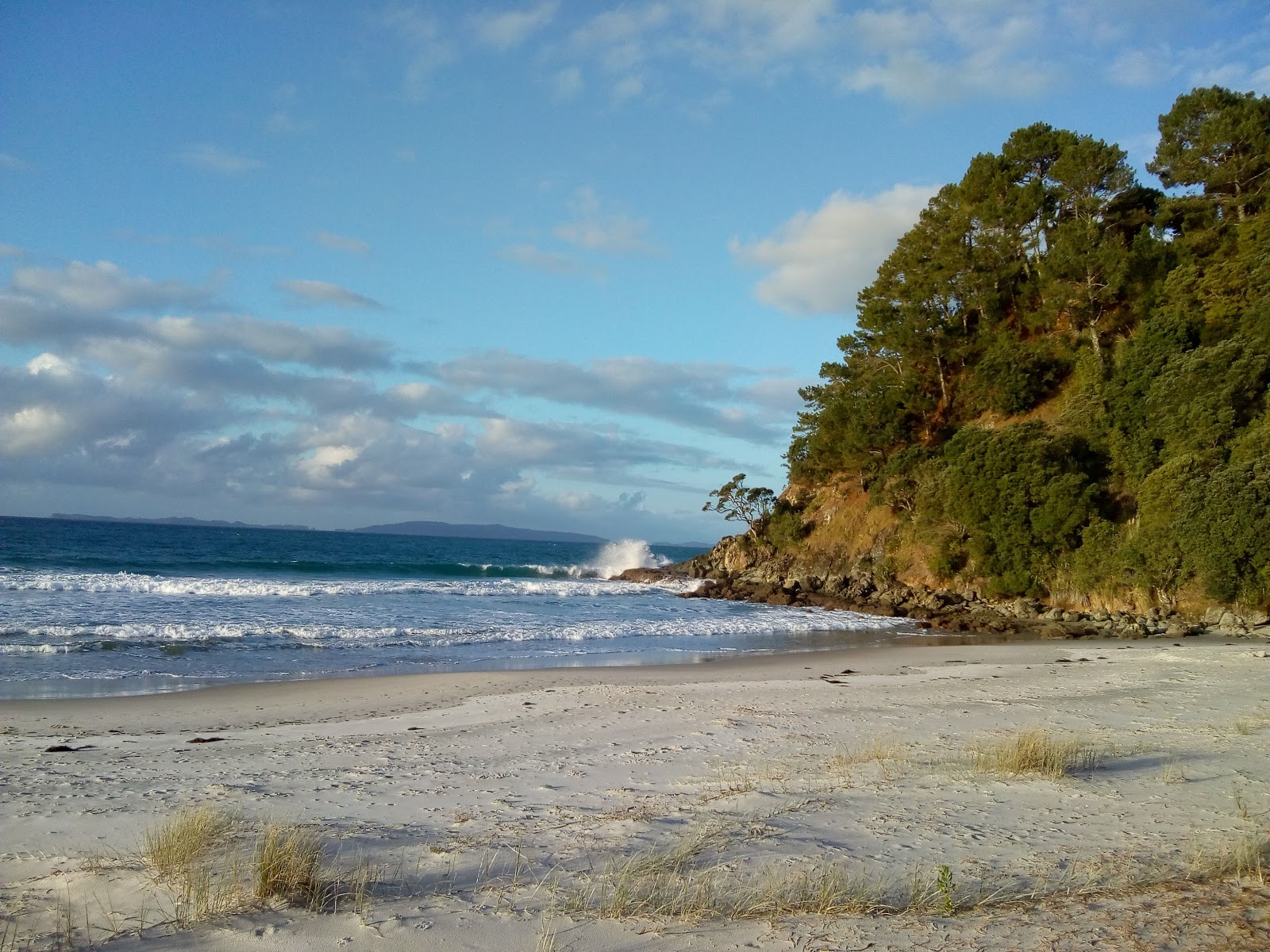 Whangapoua Beach的照片 - 受到放松专家欢迎的热门地点