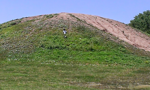 Zoo «Sedgwick County Zoo», reviews and photos, 5555 Zoo Boulevard, Wichita, KS 67212, USA