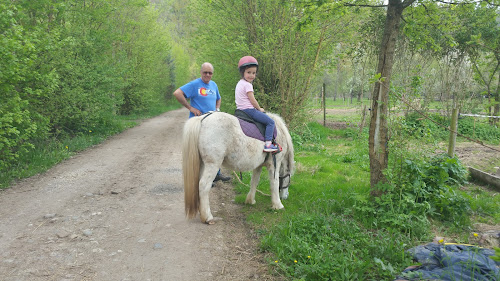 Centre équestre Ctre Equestre Du Pont de la Madeleine Faycelles