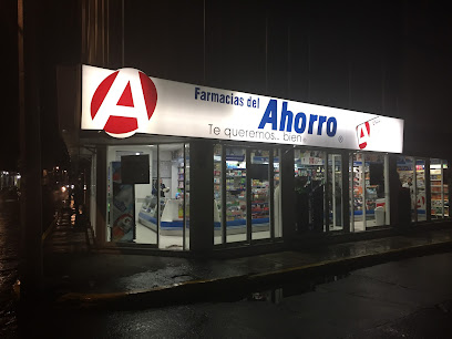 Farmacia Del Ahorro, , Tulancingo