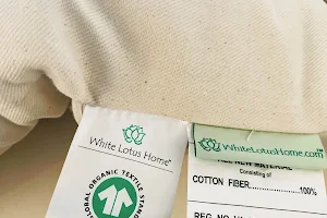 White Lotus Home - Organic Mattress & Pillow image