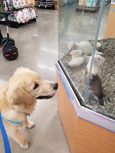 Petco