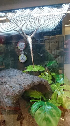 Pet Supply Store «Petco Animal Supplies», reviews and photos, 200 Center Blvd S, Christiana, DE 19702, USA