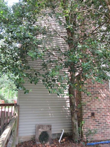 Construction Company «Ameritech Construction Corporation», reviews and photos, 2841 Hartland Rd #306, Falls Church, VA 22043, USA