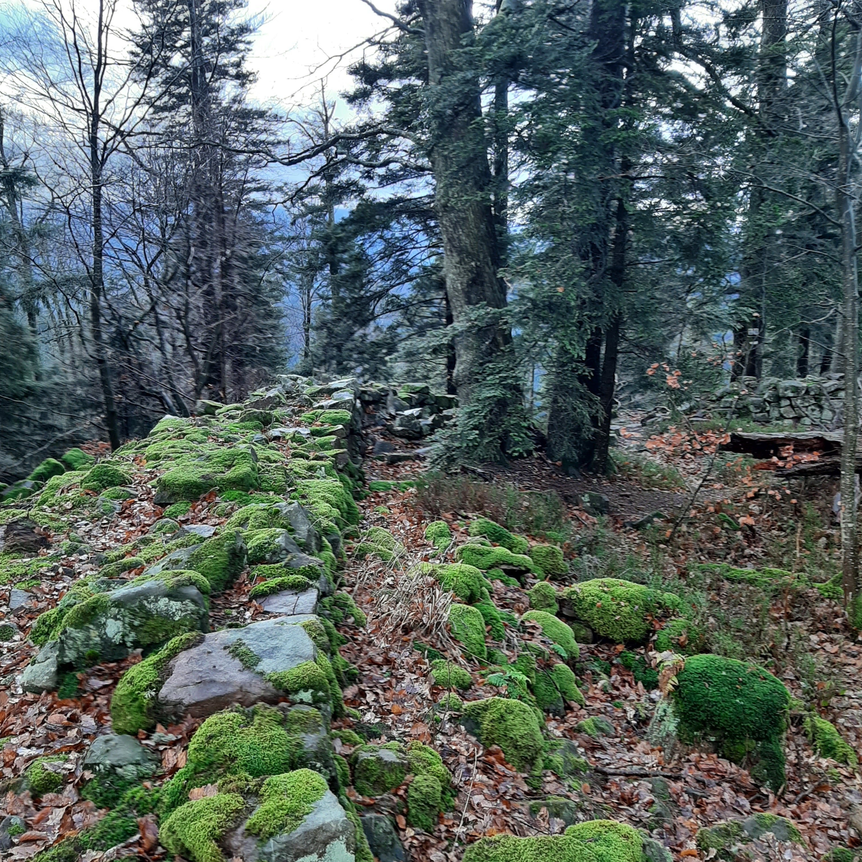 Photo n° 1 de l'avis de Hermeticum.u fait le 16/01/2023 à 08:00