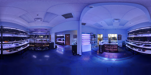 Aquarium «Artistic Aquariums, Inc», reviews and photos, 3400 N Arizona Ave #111, Chandler, AZ 85225, USA