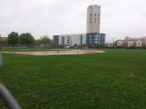 Park «Van Cleve Park Rink», reviews and photos, 901 15th Ave SE, Minneapolis, MN 55414, USA