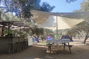 Olive camp Olivium image