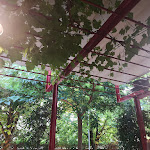 Photo n°6 de l'avis de David.e fait le 13/08/2019 à 16:47 sur le  Restaurant Engelkeller à Neumarkt