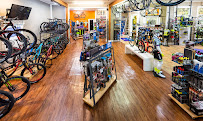 Cadence Cyclery of McKinney - Photo 8 - Car repair in McKinney, TX, Plano