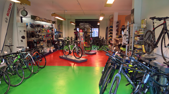 Comentarii opinii despre Pro Bike Services SA