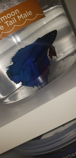 Pet Supply Store «Petco Animal Supplies», reviews and photos, 6025 Kruse Dr #159, Solon, OH 44139, USA