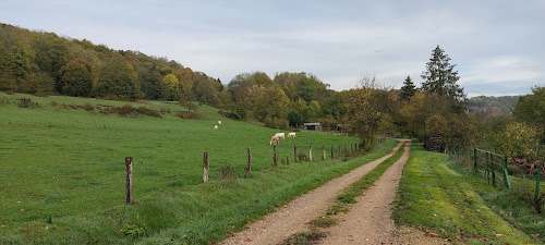 Épicerie fine Barrois Valérie Bourmont-entre-Meuse-et-Mouzon