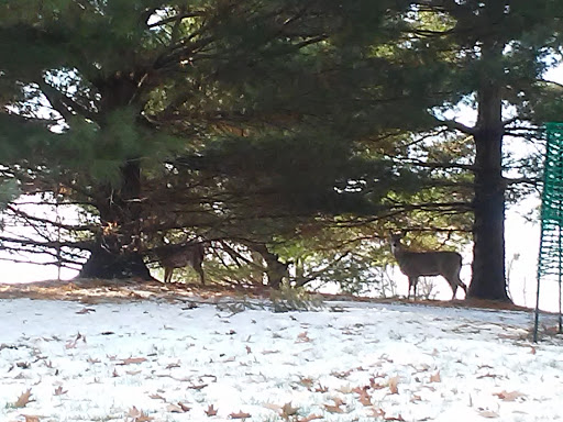 National Park «Herbert Hoover National Historic Site», reviews and photos, 110 Parkside Dr, West Branch, IA 52358, USA