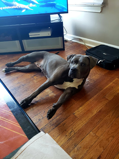 Pet Supply Store «Pet Needs Etc», reviews and photos, 5664 N Telegraph Rd, Dearborn Heights, MI 48127, USA