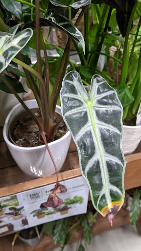 Home Improvement Store «The Home Depot», reviews and photos, 1100 Revere Beach Pkwy, Chelsea, MA 02150, USA