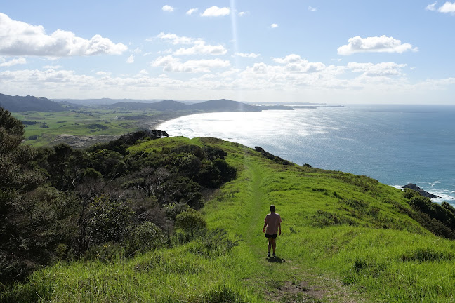 Reviews of Te Whara Track Scenic Lookout in Whangarei Heads - Other