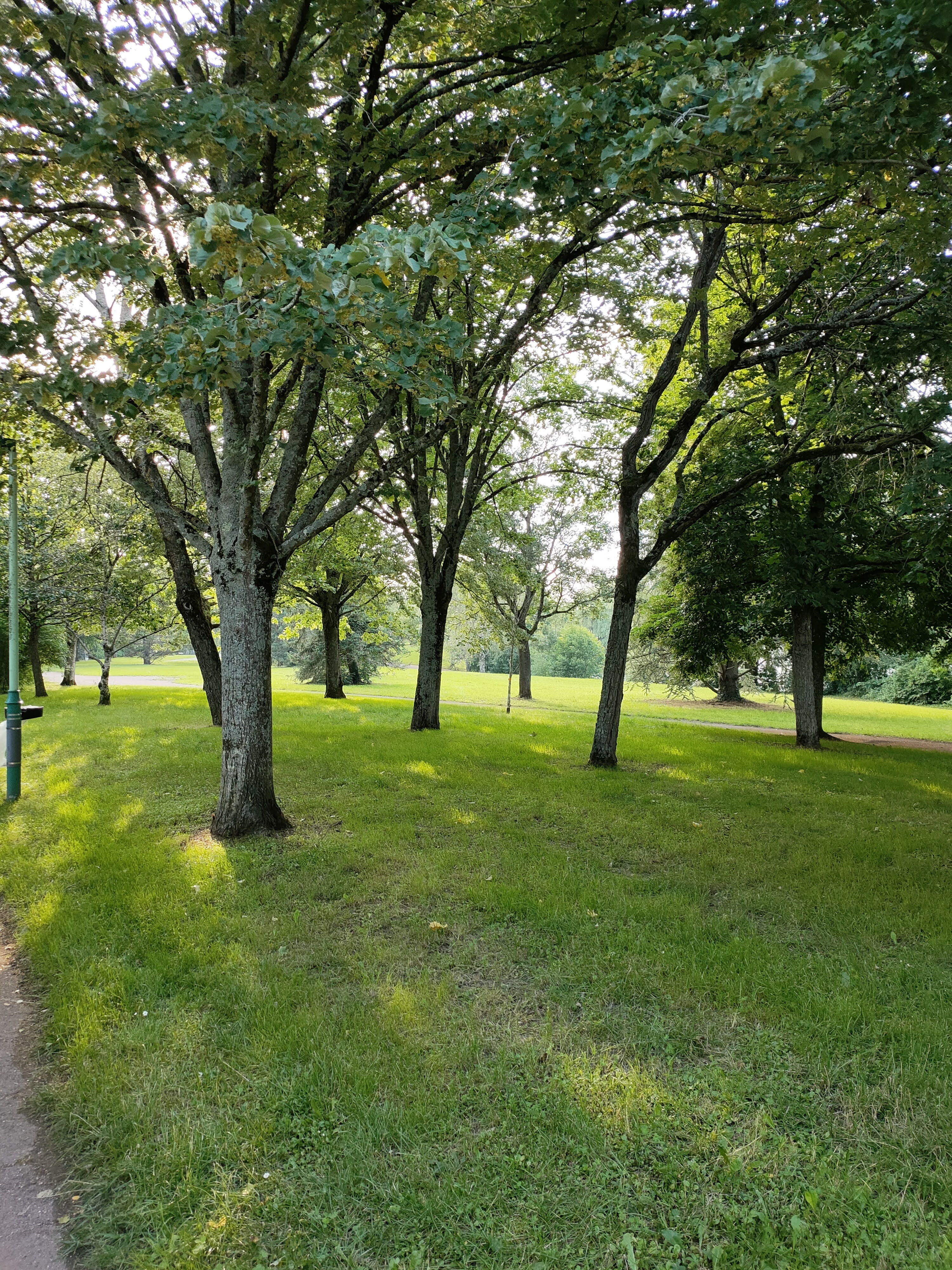 Photo n° 25 de l'avis de Karen.u fait le 18/07/2021 à 21:38