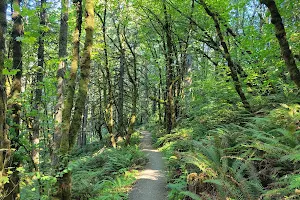 Spring Boulevard Trailhead image