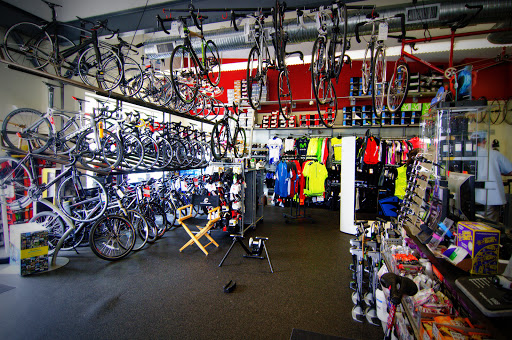 Bicycle wholesaler Stamford