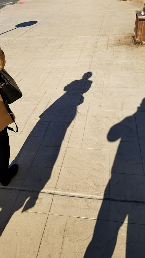 Pet Supply Store «Petco Animal Supplies», reviews and photos, 1255 Raritan Rd #140, Clark, NJ 07066, USA