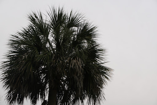 Religious Organization «Cassadaga Spiritualist Camp», reviews and photos