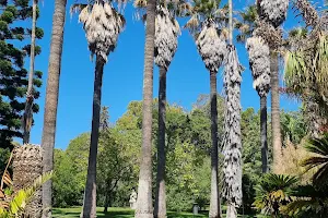 Tropical Botanical Garden image