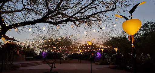 Botanical Garden «Desert Botanical Garden», reviews and photos, 1201 N Galvin Pkwy, Phoenix, AZ 85008, USA