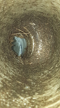 Discount Drain Cleaning - Photo 9 - Car repair in , Greensboro