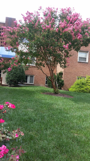 Auto Parts Store «AutoZone», reviews and photos, 313 2nd St, Laurel, MD 20707, USA