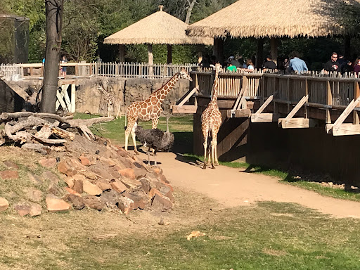 Zoo «Fort Worth Zoo», reviews and photos, 1989 Colonial Pkwy, Fort Worth, TX 76110, USA