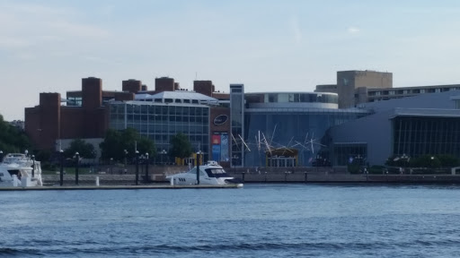 Imax Theater «IMAX at the Maryland Science Center», reviews and photos, 601 Light St, Baltimore, MD 21230, USA