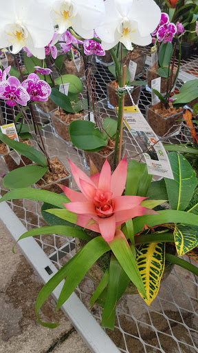 Home Improvement Store «The Home Depot», reviews and photos, 1151 W Copans Rd, Pompano Beach, FL 33064, USA