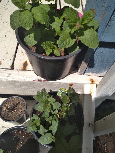 Home Improvement Store «The Home Depot», reviews and photos, 68 E Thompson Pl, Monticello, NY 12701, USA