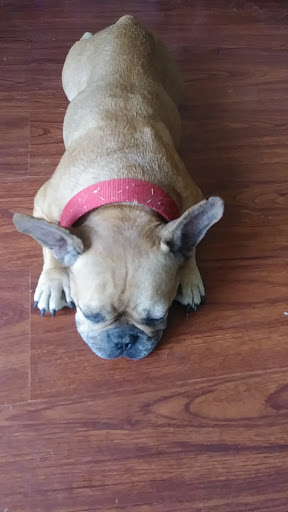 Animal Feed Store «Lomita Feed Store», reviews and photos, 24403 Narbonne Ave, Lomita, CA 90717, USA