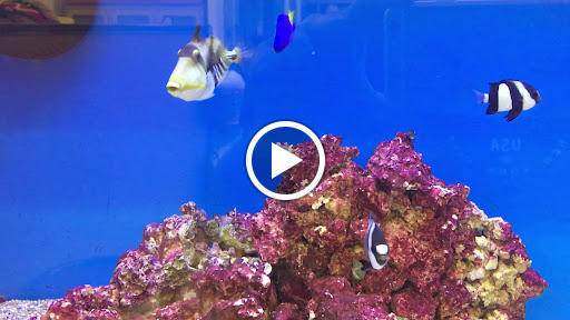 Pet Supply Store «Petco Animal Supplies», reviews and photos, 11331 W Broad St #151, Glen Allen, VA 23060, USA