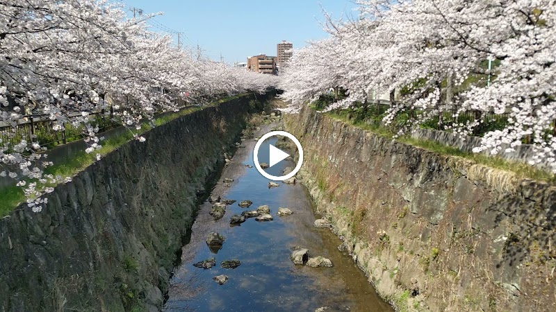 向田橋