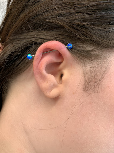 Explore tattoo sleeve ideas with trees, creative tattoo ideas in Plymouth, available at MHP Creations Body Piercing