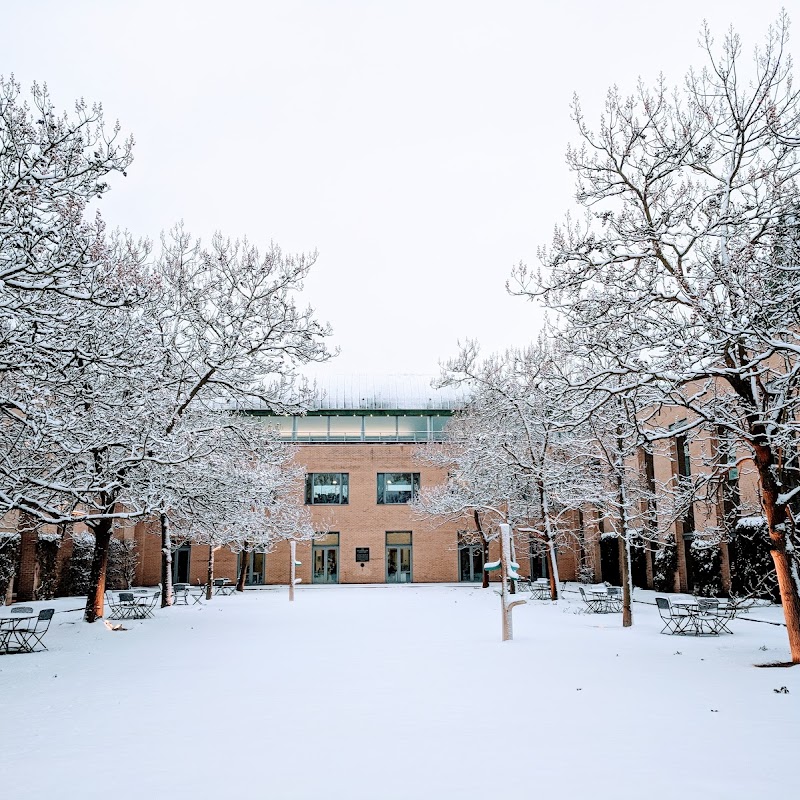 Sainsbury Library at the Saïd Business School