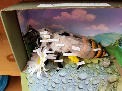 Golf Club «Pinecrest Golf Club», reviews and photos, 212 Prentice St, Holliston, MA 01746, USA