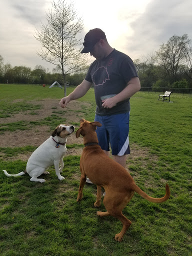 Dog Park «Carol Stream Bark Park», reviews and photos, 280 Kuhn Rd, Carol Stream, IL 60188, USA