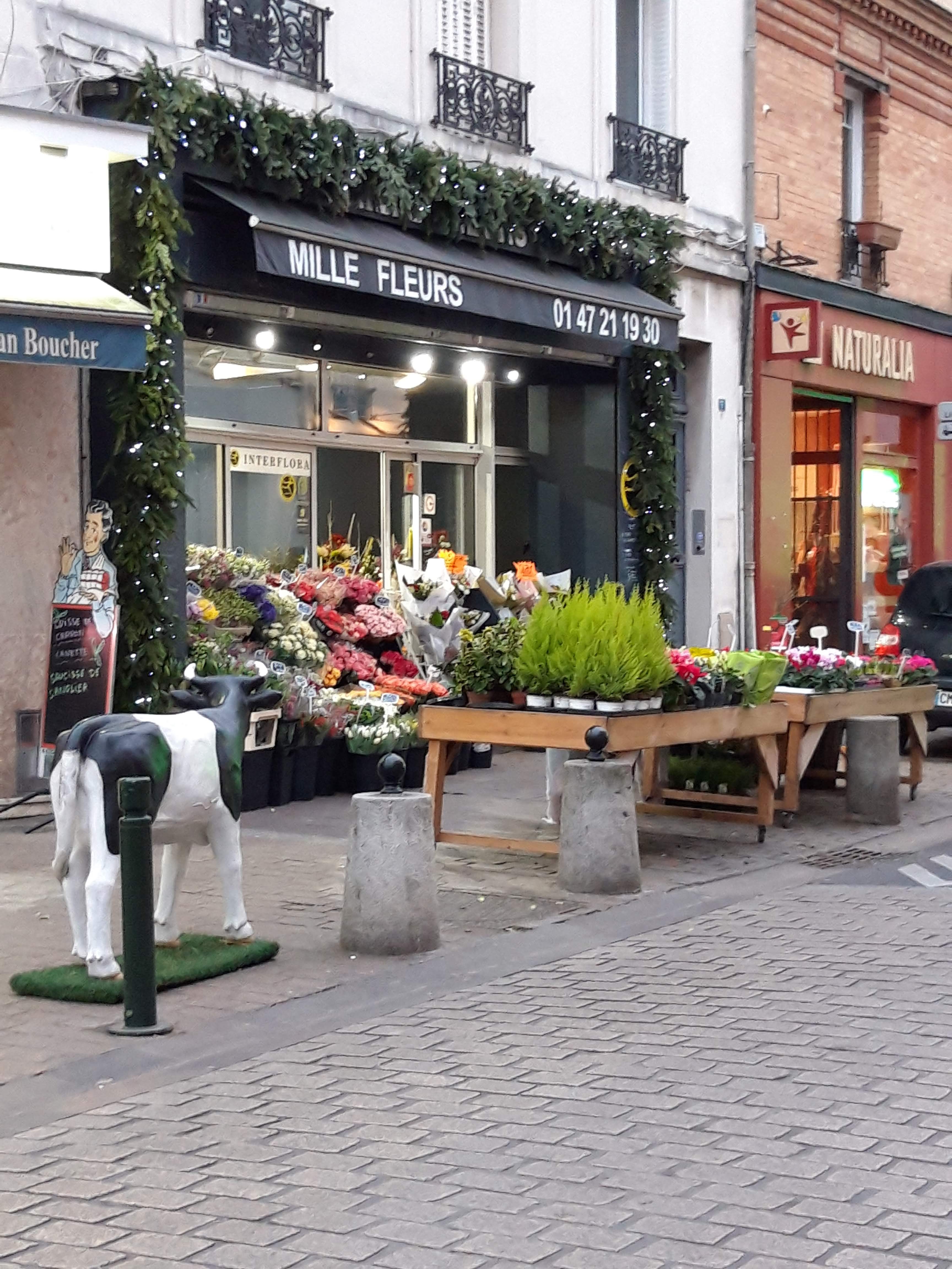 Photo n° 3 de l'avis de Odilon.o fait le 16/04/2019 à 19:49