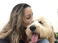 Michelle`s Pet Grooming & Boutique - Photo 2 - Car repair in Fort Lauderdale, FL, Hollywood