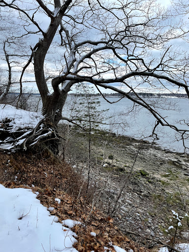 Nature Preserve «Littlejohn Island Preserve», reviews and photos, Pemasong Ln, Yarmouth, ME 04096, USA