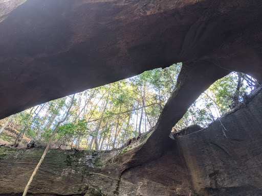 Attraction «Elvis Presley Birthplace», reviews and photos, 306 Elvis Presley Dr, Tupelo, MS 38801, USA