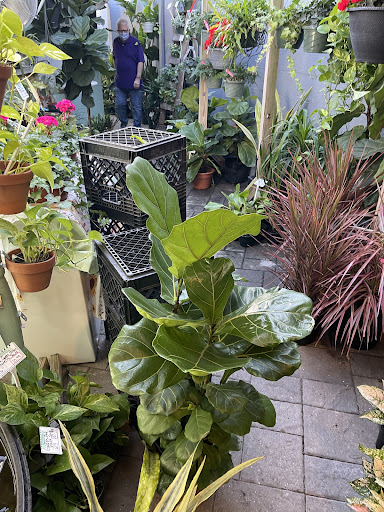 Grocery Store «Bayshore Market», reviews and photos, 5025 Bayshore Blvd, Tampa, FL 33611, USA