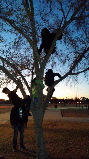 Park «Desert Star Park», reviews and photos, 8550 W Encanto Blvd, Phoenix, AZ 85037, USA