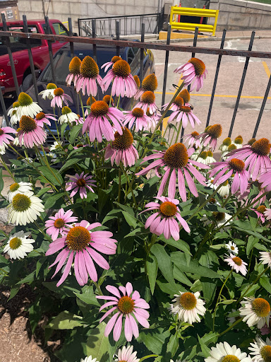 Art Museum «Wadsworth Atheneum Museum of Art», reviews and photos, 600 Main St, Hartford, CT 06103, USA