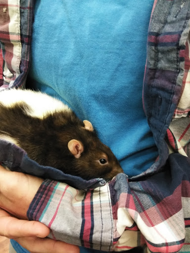 Pet Supply Store «Pet Supermarket, Inc.», reviews and photos, 18445 US-41, Lutz, FL 33549, USA