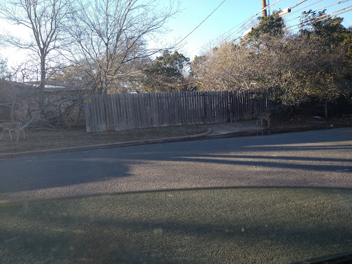 Nature Preserve «Stillhouse Hollow Nature Preserve», reviews and photos, 7810 Sterling Dr, Austin, TX 78759, USA